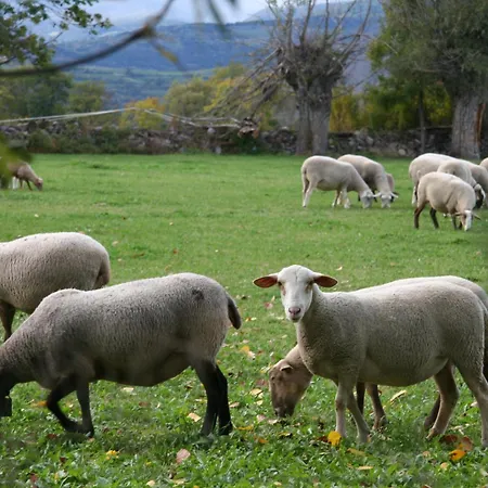 Esquirol (adults Only) Llivia