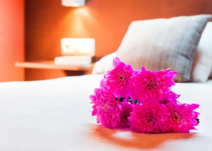 Esquirol (adults Only) 2*